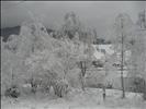 Romania, Vatra Dornei, 2008, Nature, Winter